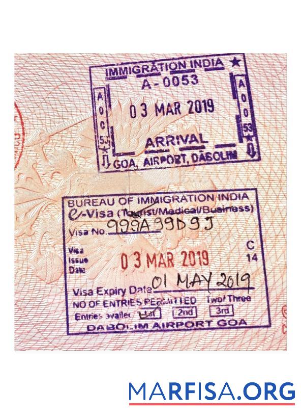 Printable India Visa Stamp sample
